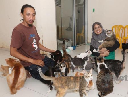Hana the cat from Malaysia saved the owners and 65 relatives from the fire
